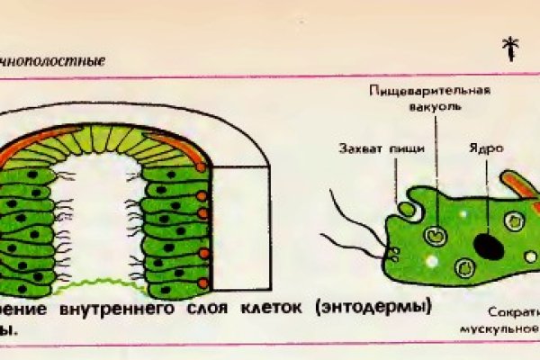Не могу зайти в кракен