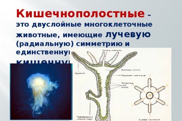 Кракен оф сайт