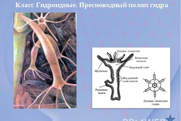 Кракен маркетплейс скачать